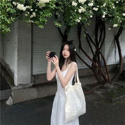 庄妃轶事